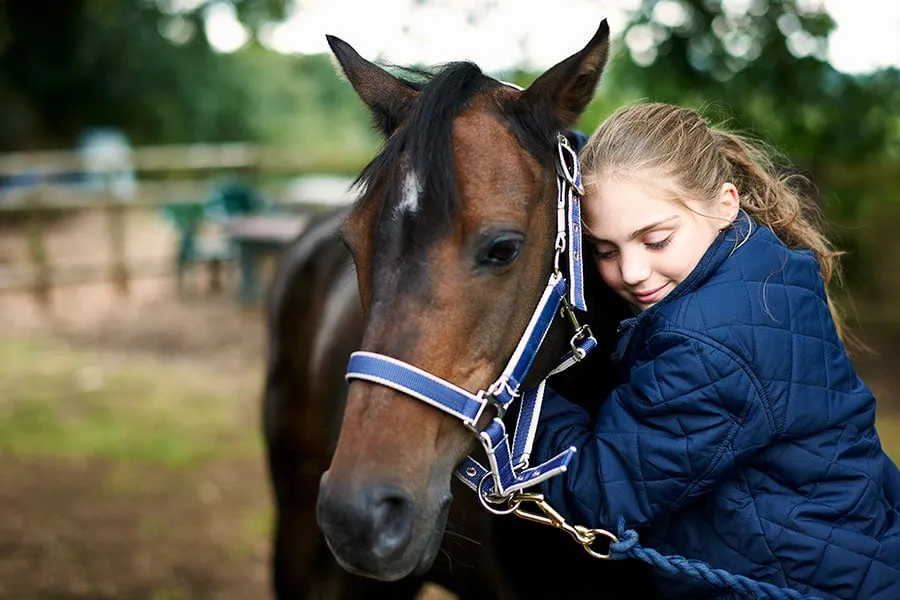 Una bambina abbraccia il muso di un cavallo